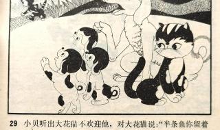 小贝流浪记全集 小贝流浪记全集