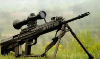 魔兽世界lr稀有宝宝 魔兽世界lr稀有宝宝