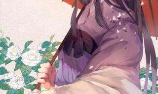 甜宠文推荐巨甜 甜宠文推荐巨甜