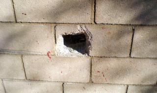 狗狗被卡住了怎么办