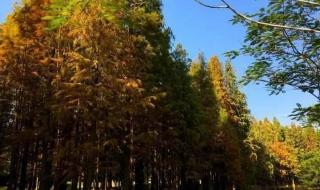 清远森波拉奇妙世界 清远森波拉奇妙世界