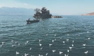 泸沽湖住宿推荐 泸沽湖住宿推荐